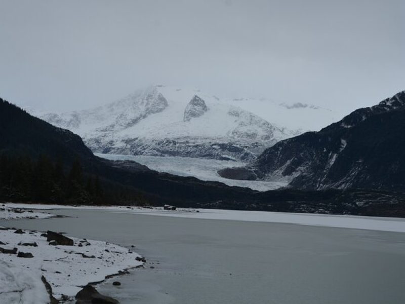 Mendenhall Glacier and Whale Watching Tour