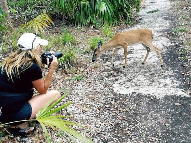 Full-Day Tour of Florida Keys Including Aquarium Encounters from Key West