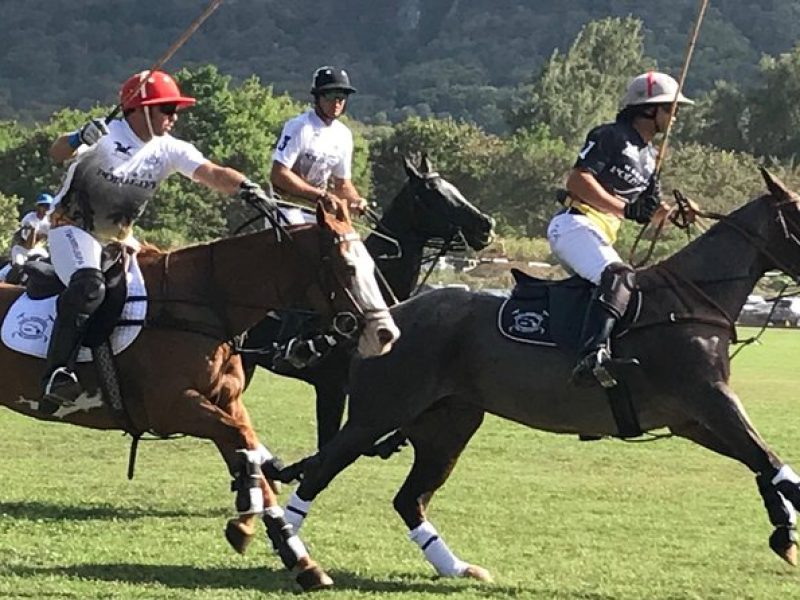 Oahu Polo Game and Private Island Tour from Honolulu