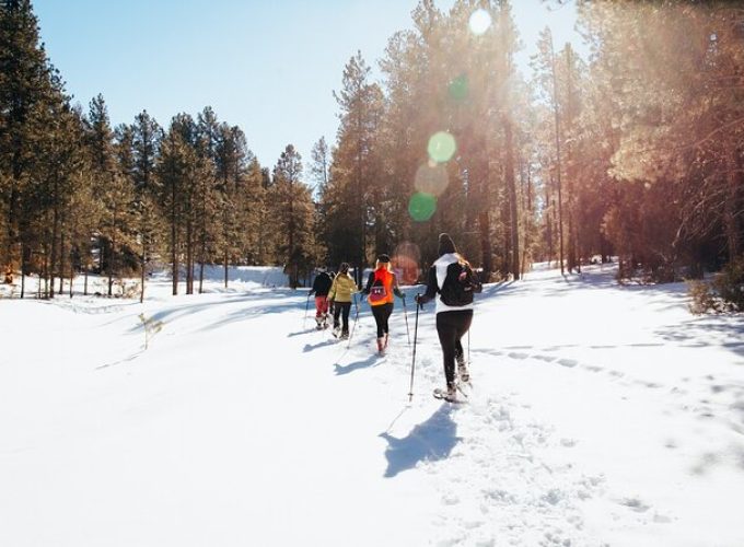 Amole Canyon Snowshoe Tour