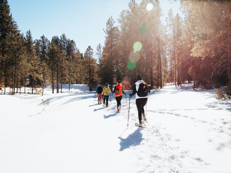 Amole Canyon Snowshoe Tour