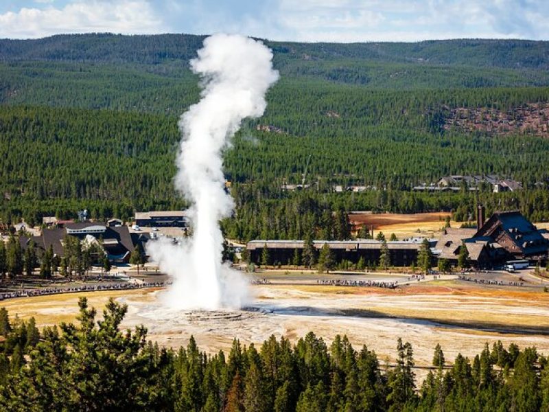 Yellowstone: Private Guided Tour