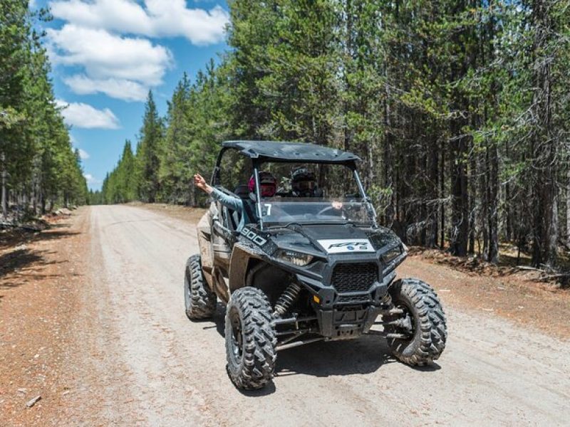 RZR Adventure to Sawtelle Peak