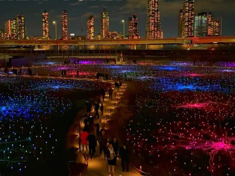 Field of Light at Freedom Plaza Night Art Exhibit NYC Activity