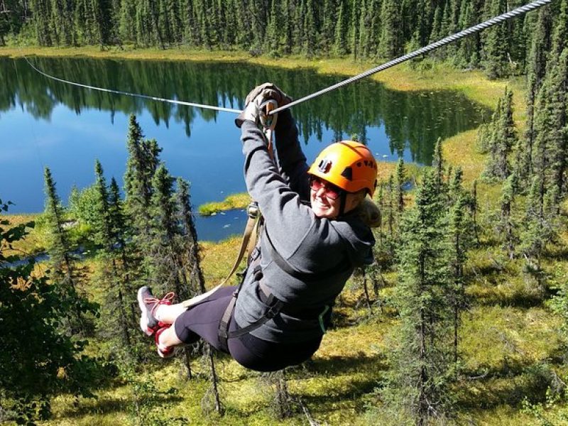 Denali Zipline Tour in Talkeetna, AK