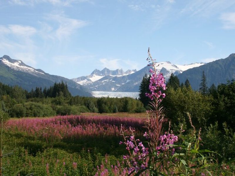 Juneau City Tour