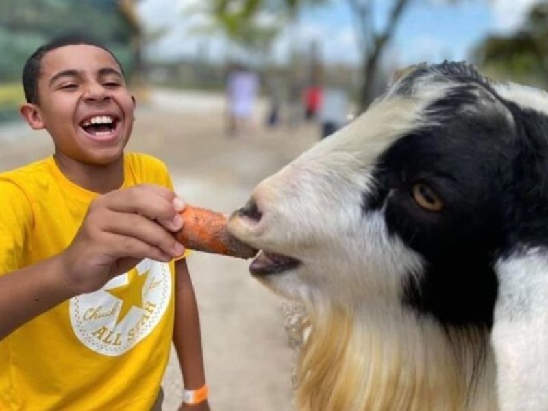 Family Adventure at the Farm and Animal Feed