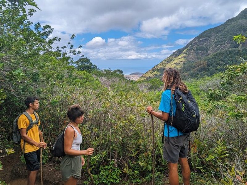 Full Day Hiking Adventure in West Oahu! Climb the Highest Peak