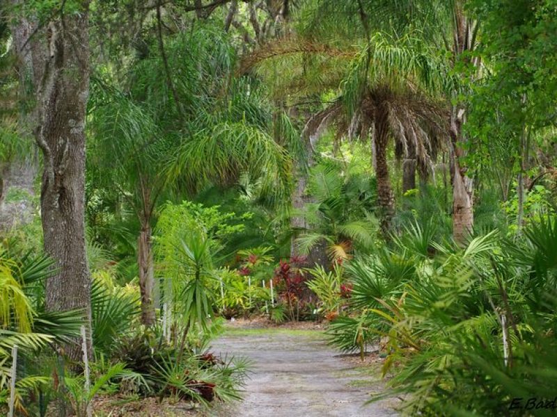 Private Walking Tour to St. John's Botanical Garden