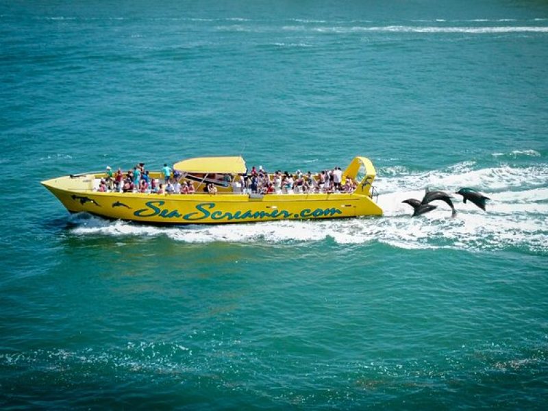 Sea Screamer Clearwater's Only Speed Boat Dolphin Watching