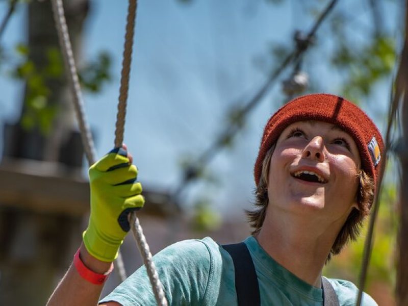 Zipline and Climb in a Forest on Lake Superior's North Shore