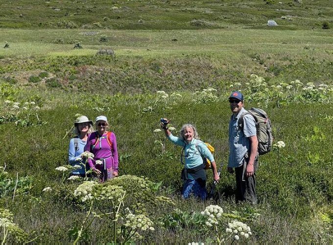 Scenic Coast and Wildlife Tour