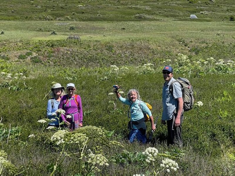 Scenic Coast and Wildlife Tour