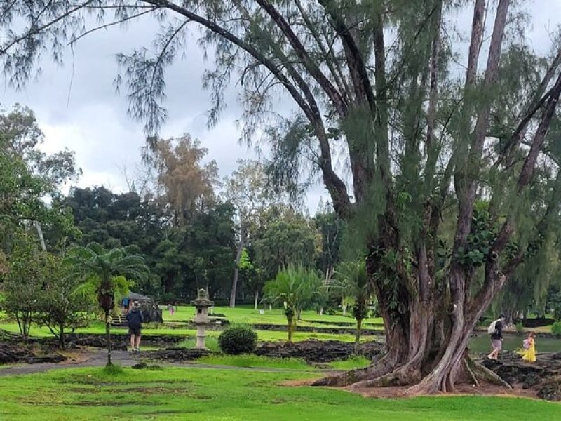 Meditative Journey through Hilo Gardens