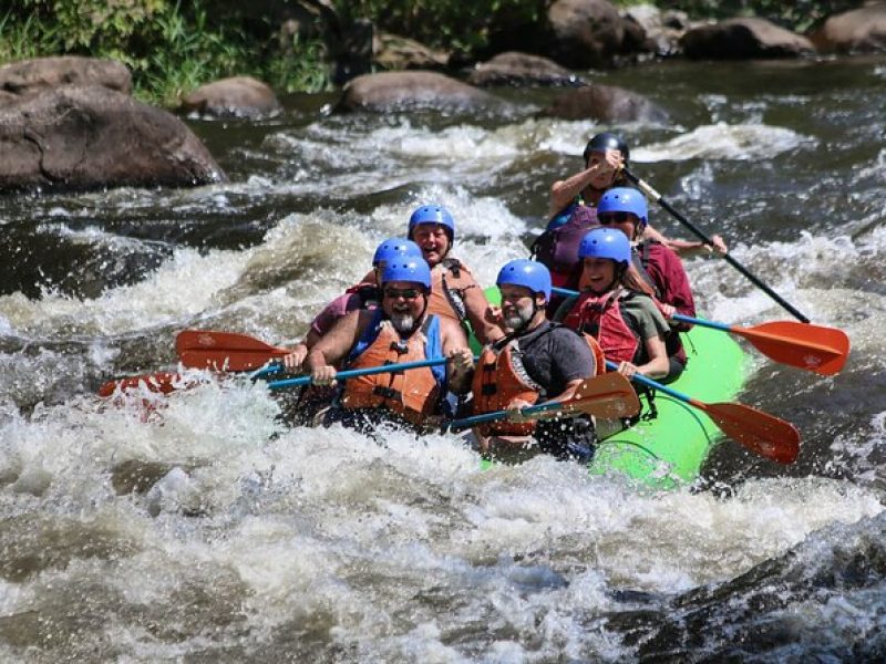 Rip Roaring Adventures Upper Pigeon Whitewater Trip