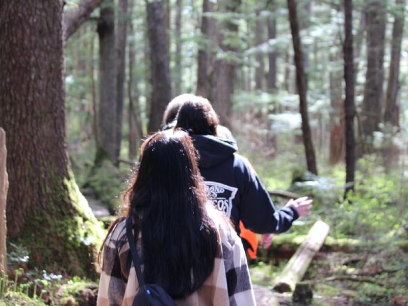 Shared Mindfulness in Wilderness Tour From Alaska