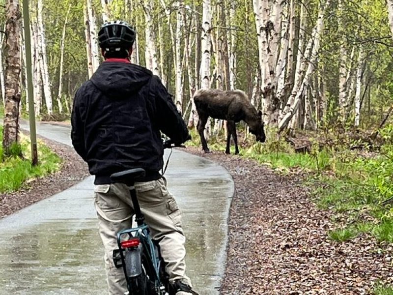 eBike Art and Trails Guided Tour of Anchorage