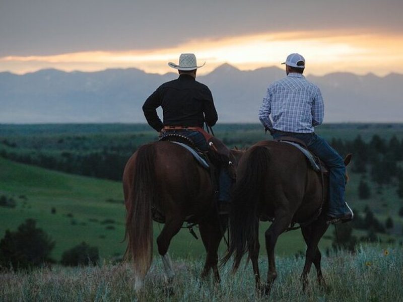 2 Hour Trail Ride in Montana Ranch Country