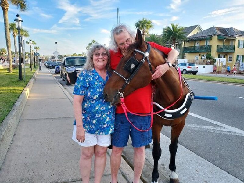 Horse Drawn Carriage Tour of Saint Augustine