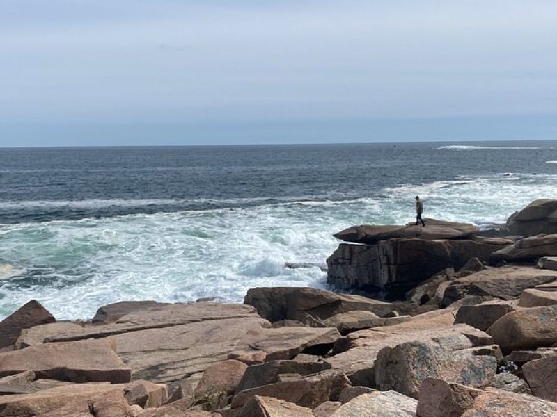 Experience Acadia: Private 3-hr tour with local guide.