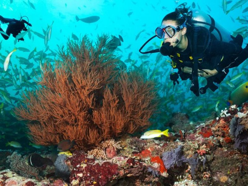 Kauai's Only Boat Dive for Non-Certified SCUBA Divers