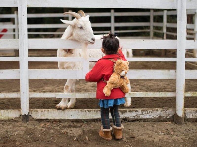 Educational Farm Adventure Tour on Bainbridge Island