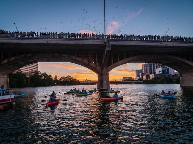 Congress Bridge Kayaking Bat Tour