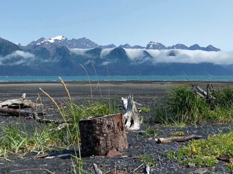 Tonsina Beach Hike with Seward Guided Hikes