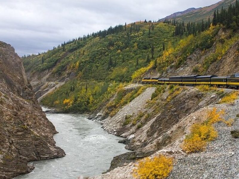 Alaska Railroad Fairbanks to Denali One Way