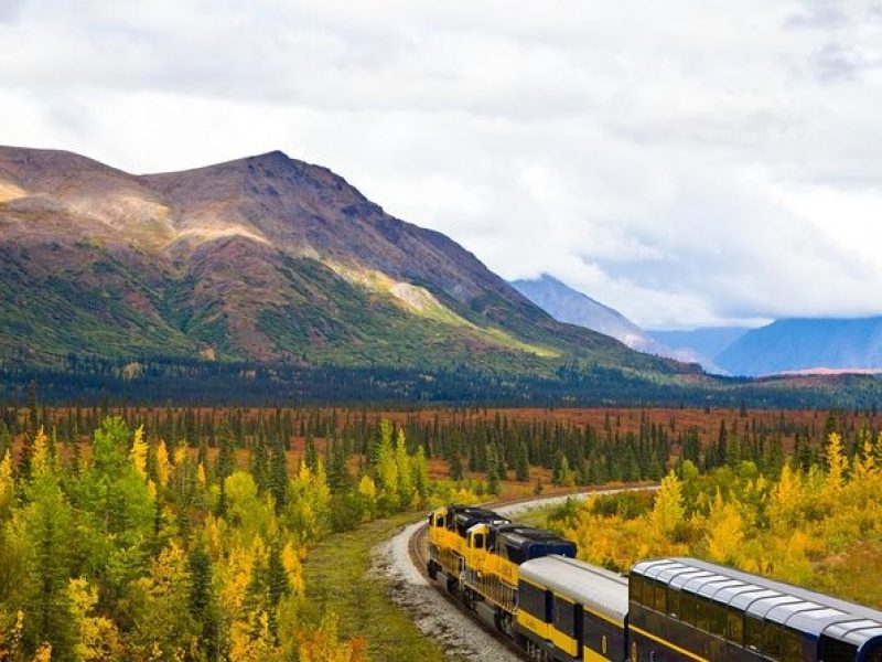 Alaska Railroad Anchorage to Denali One Way