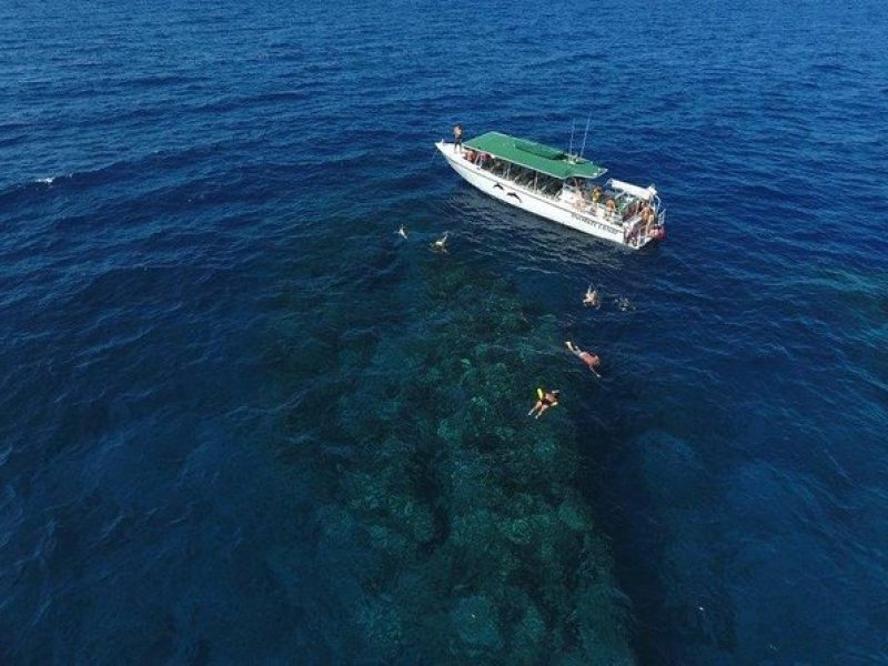 Half Day Snorkel in Lanai Island and Spinner Dolphin Search