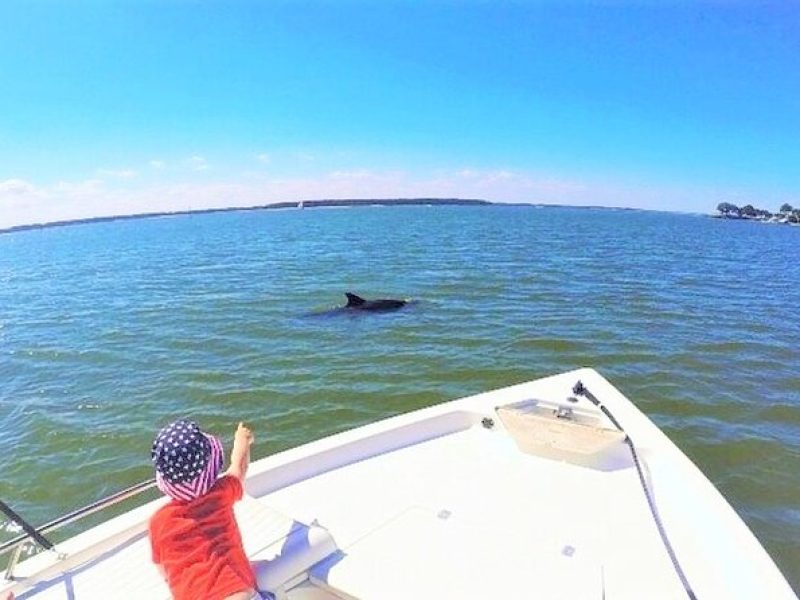 Private Hilton Head Dolphin Watching Tour with Waterfront Dining Stops