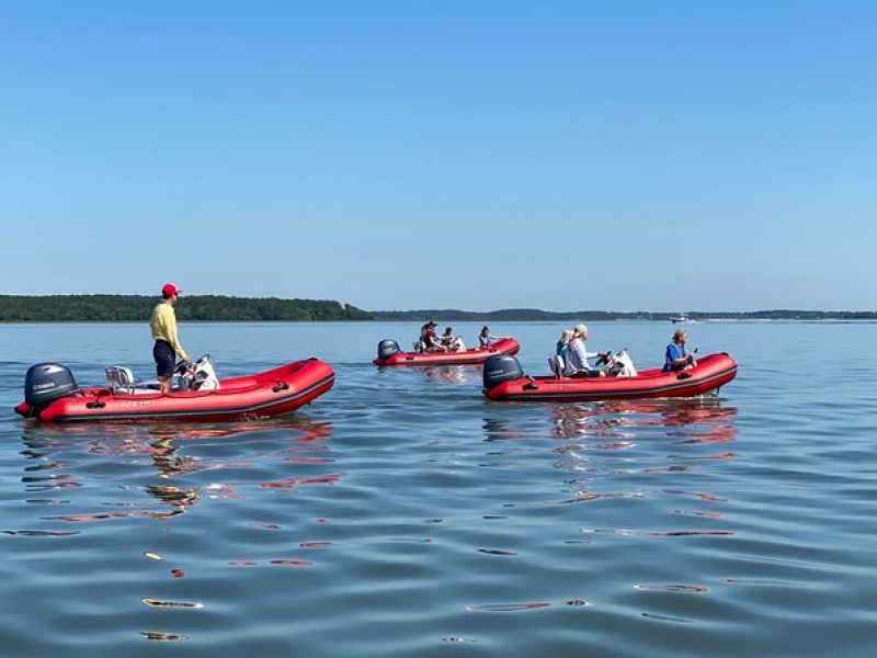 Mini Boat Tour with stop at Disappearing Island