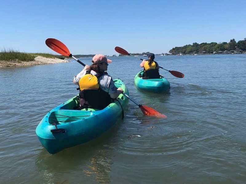 Hilton Head Guided Kayak Eco Tour