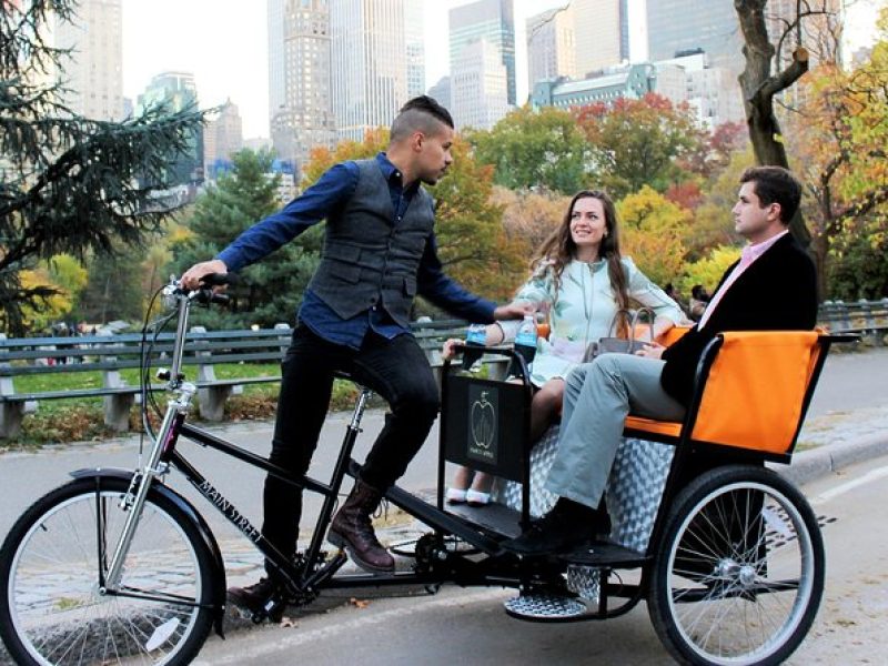 Private Central Park Guided Tour by Pedicab