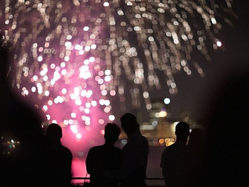 Chicago Fireworks Dinner Cruise with Buffet