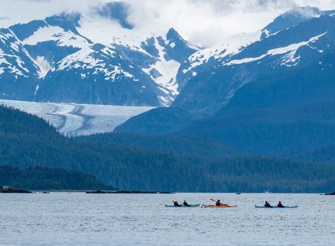 Paddle with Whales! Kayak Adventure