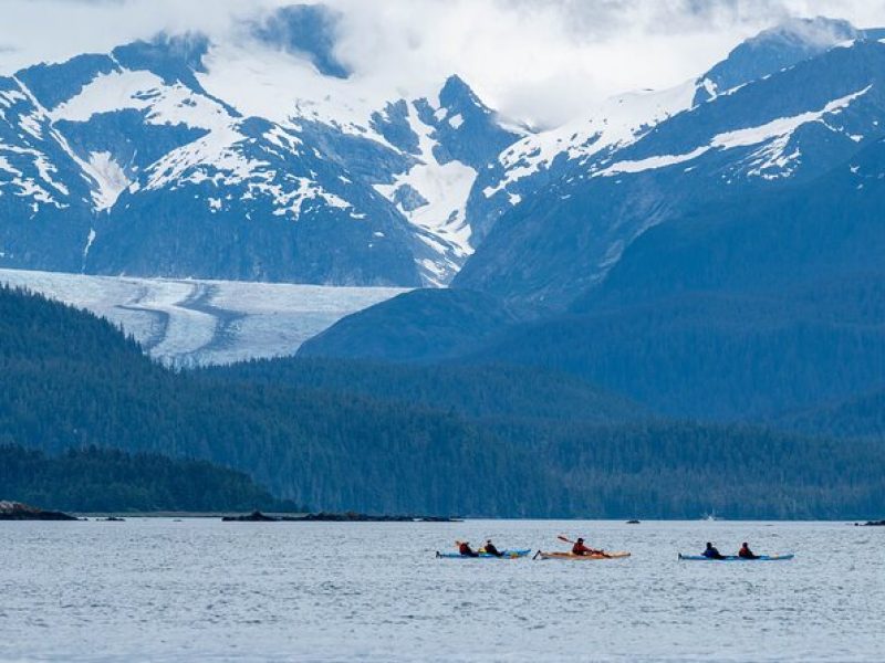 Paddle with Whales! Kayak Adventure