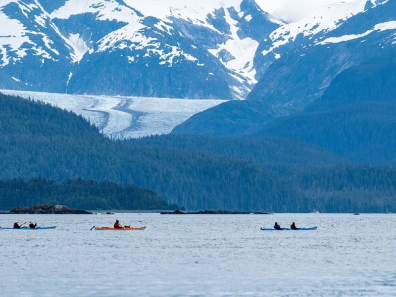 Juneau Shore Excursion: Paddle with Whales! Kayak Adventure