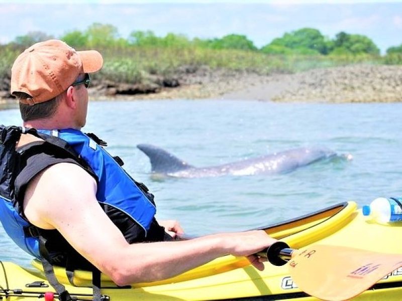 2-Hour Guided Kayak Eco Tour in Charleston