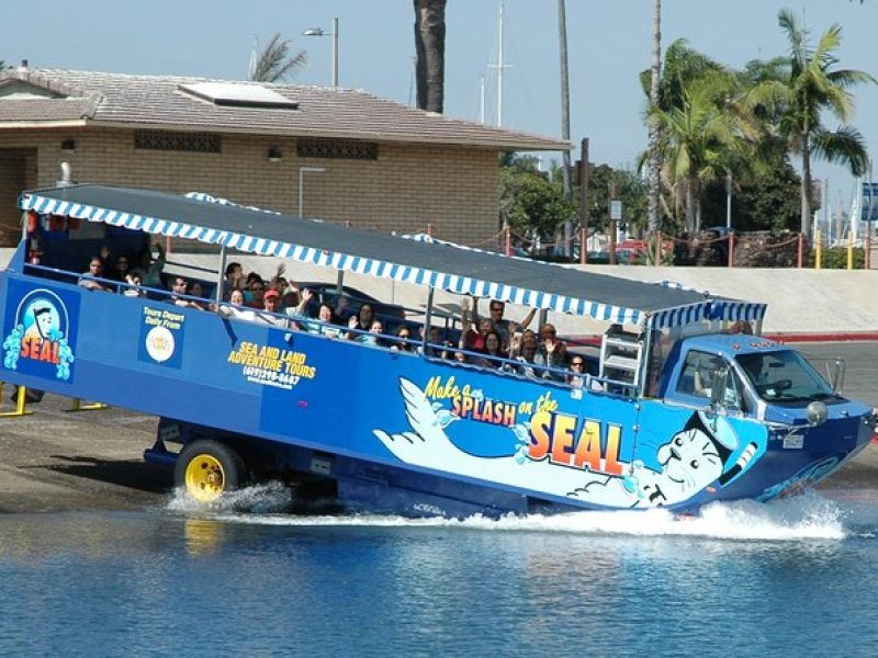 San Diego Shore Excursion: San Diego Seal Tour