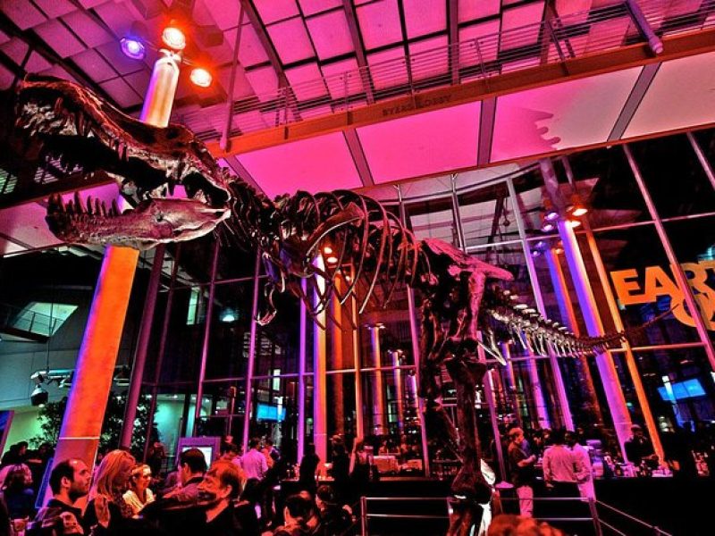 California Academy of Sciences NightLife Admission Ticket