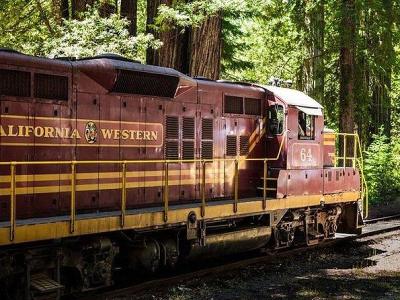 Skunk Train: Wolf Tree Turn from Willits