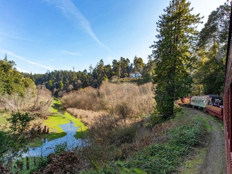 Skunk Train: Pudding Creek Express from Fort Bragg