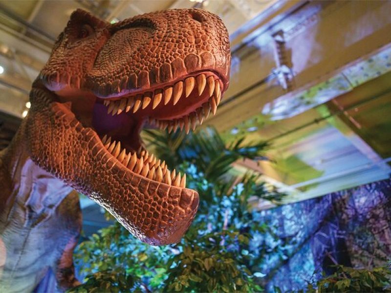 Dino Safari – A Walk Thu Adventure at Horseshoe Las Vegas