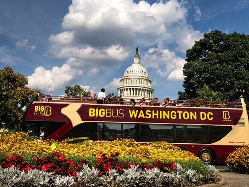 Big Bus DC: Hop-On Hop-Off Sightseeing Tour by Open-top Bus