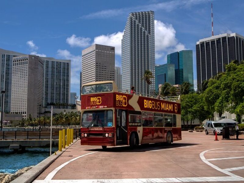 Miami Bay Cruise, Everglades Experience, & Open-top Bus Tour