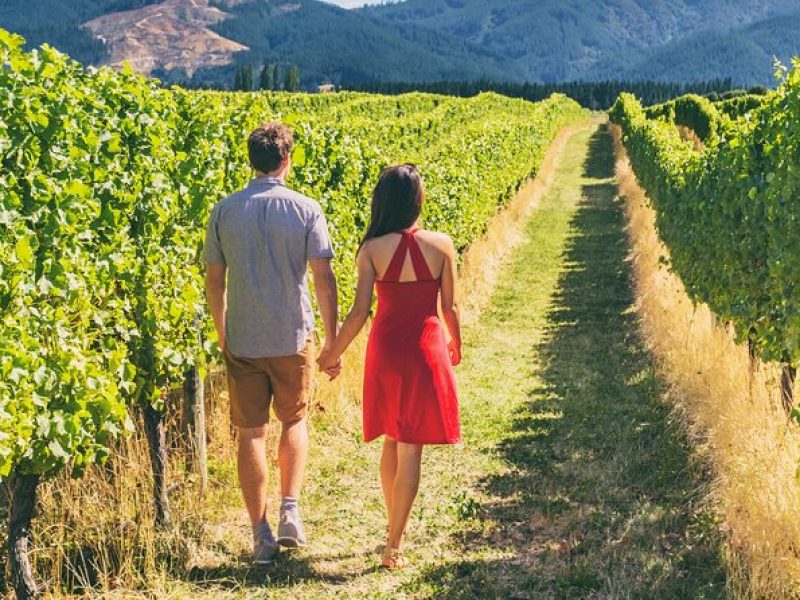 San Francisco: Napa Valley Wine Tour & 1-Day Hop-on Hop-off Tour