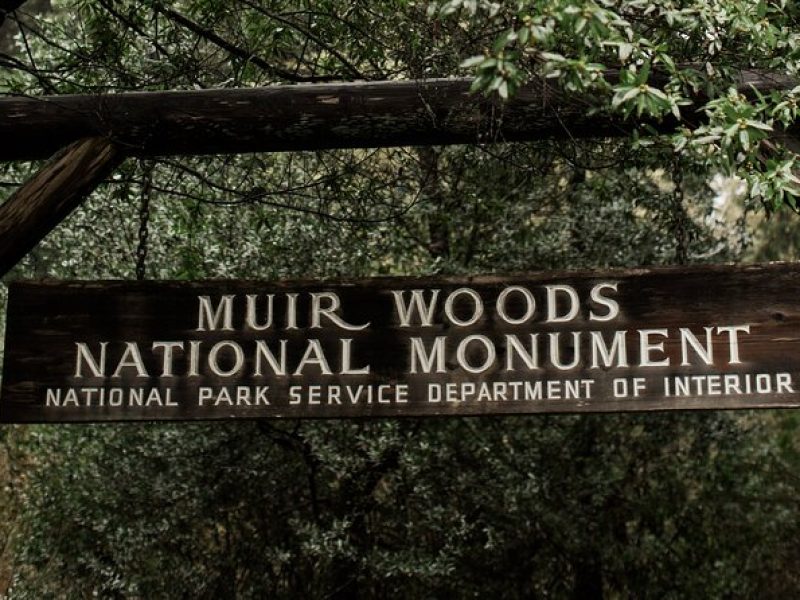 San Francisco: Napa Valley Wine Tour and Muir Woods Guided Tour