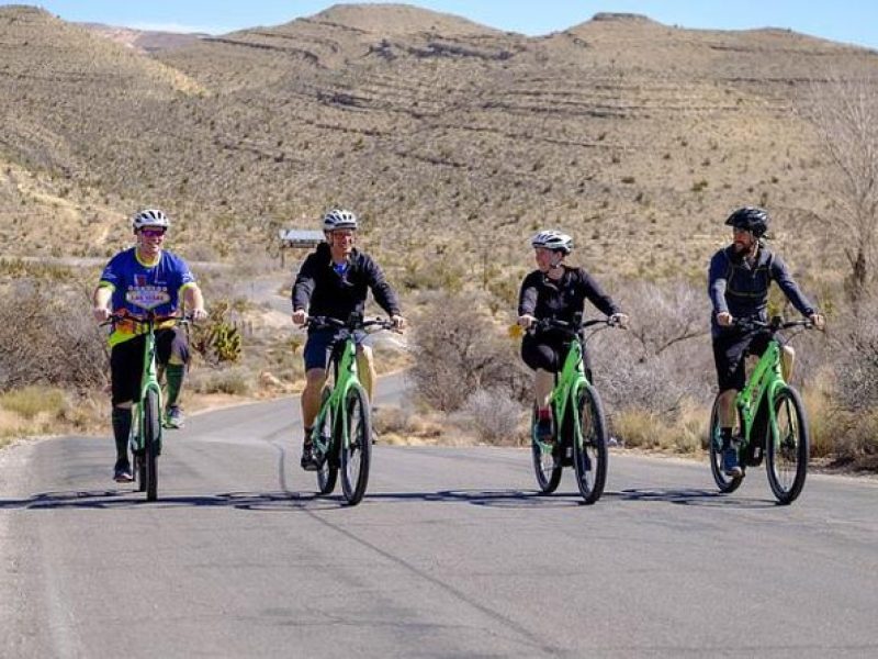 Half-Day Electric Bike Tour of Red Rock Canyon